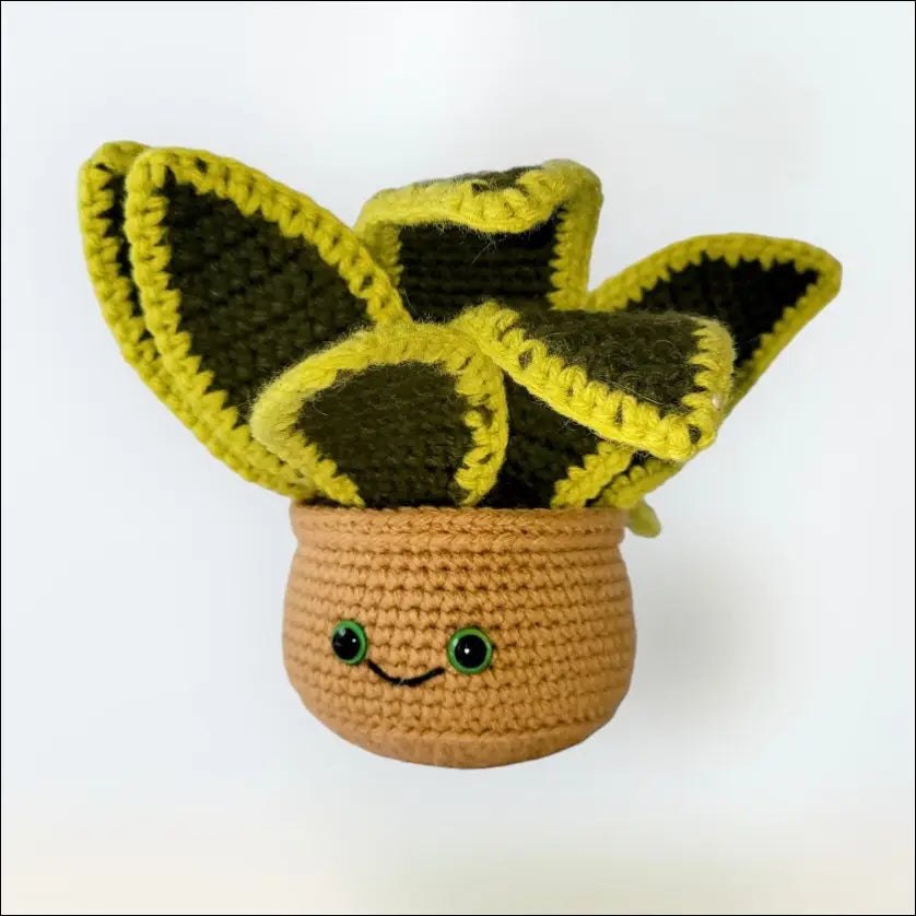 Snake plant plant