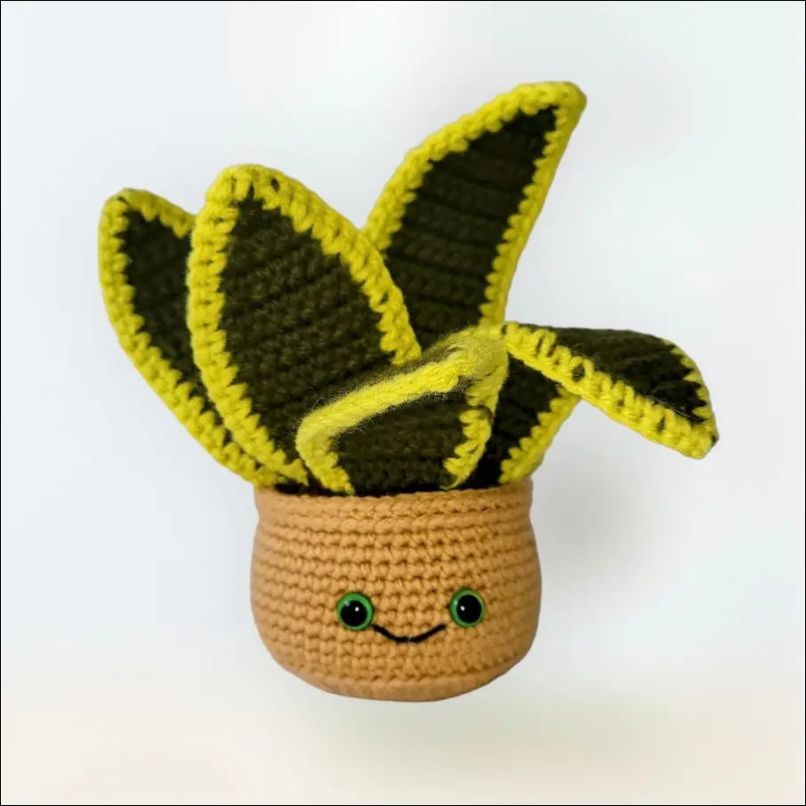 Snake plant plant