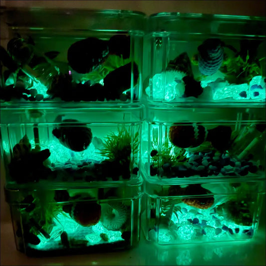 Aquariums and terrariums toys