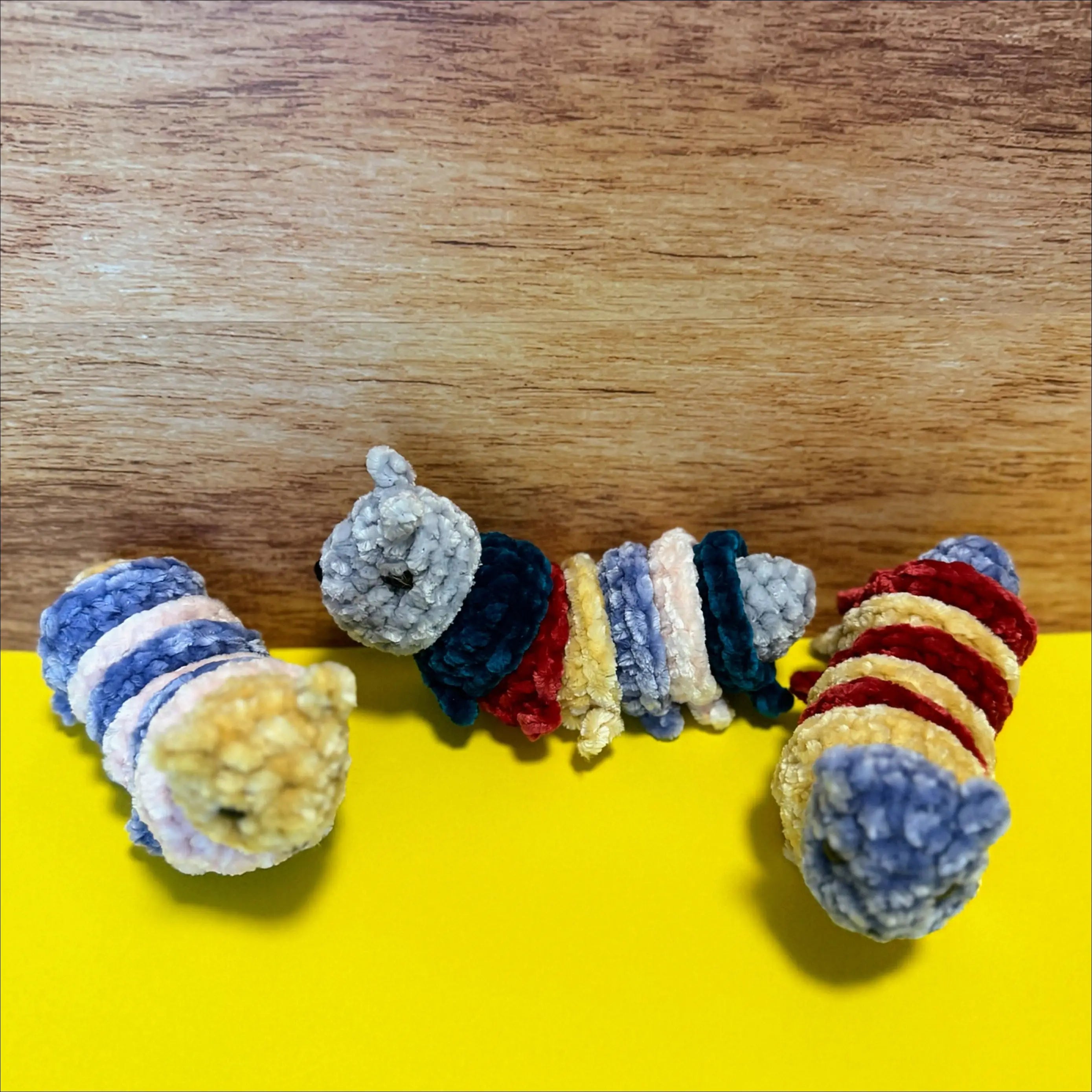 Bendy caterpillar dr2 insects