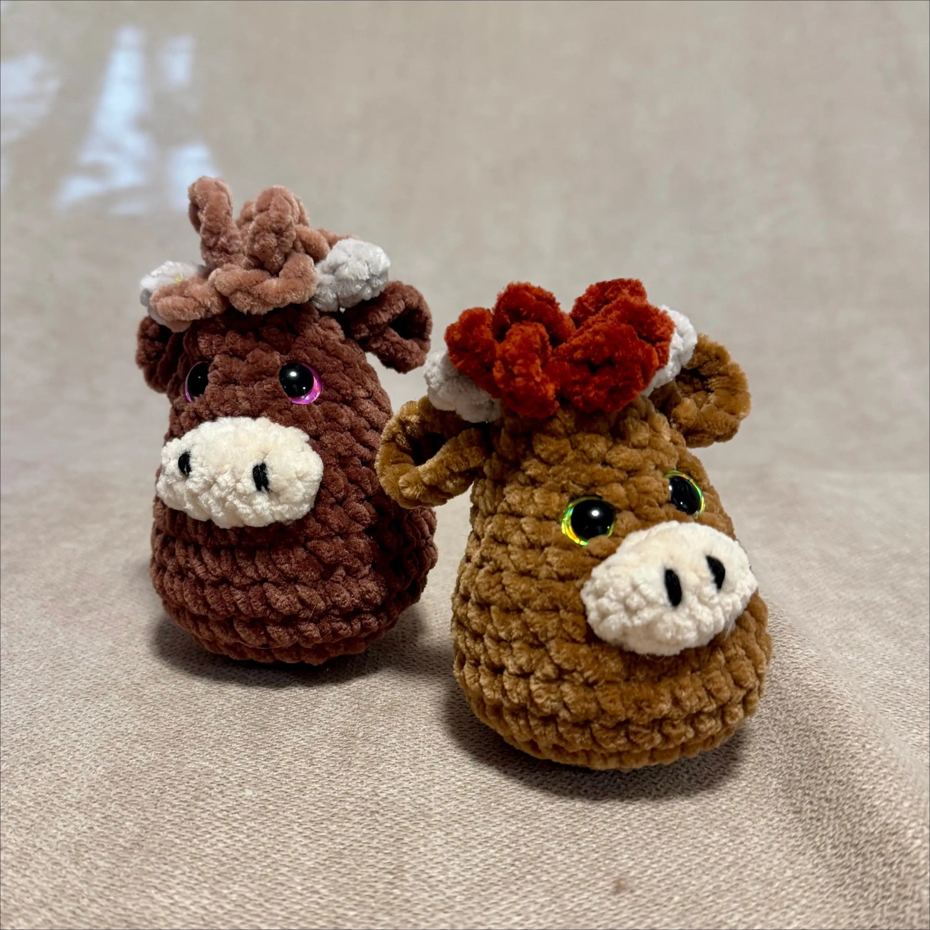 Cow pudge farm animals