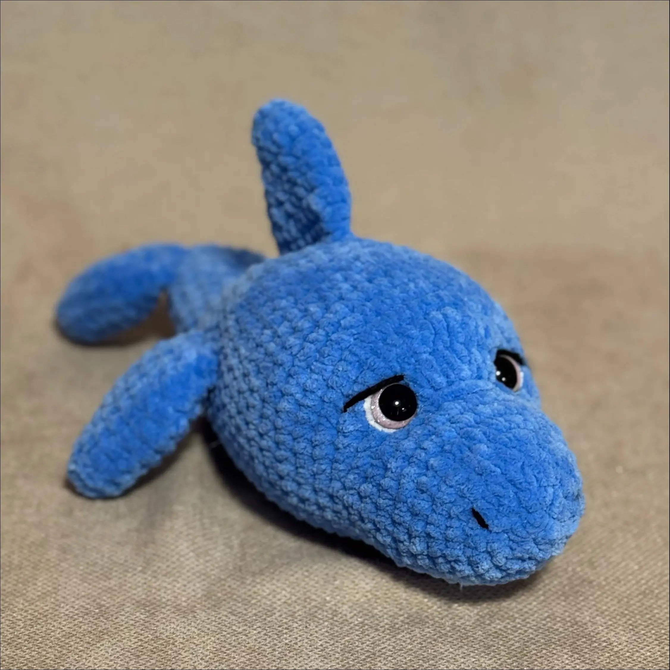 Dolphin dr water animals