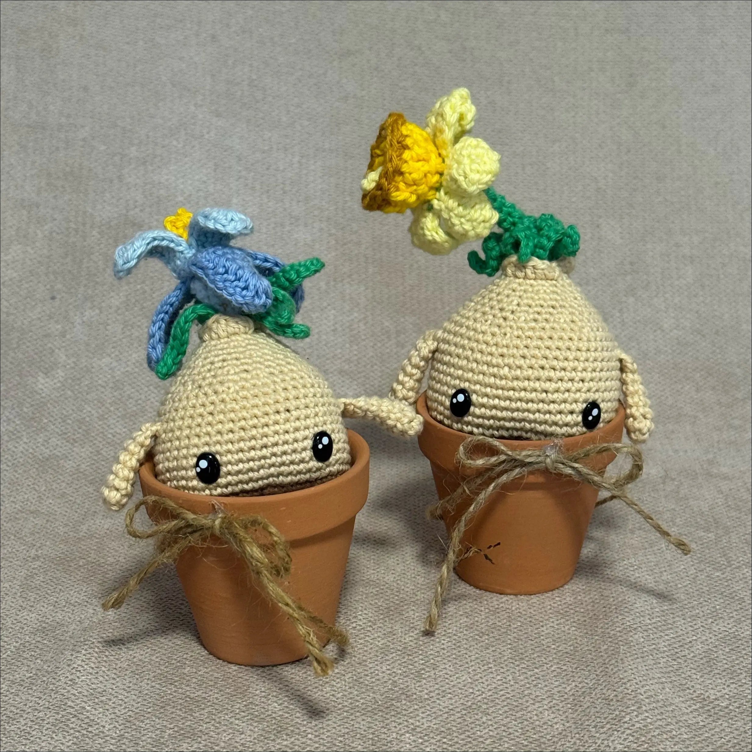 Flower bulbs plant