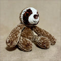 Little sloth forest animals